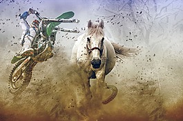 馬,摩托車,屁股