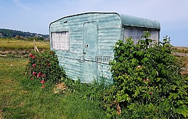 大篷车,露营,营地