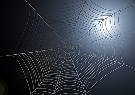 網(wǎng)絡(luò),蜘蛛網(wǎng),光