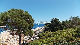 海,假期,展望