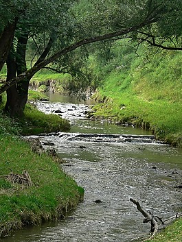 自然,風景,景觀