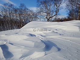 冬季,雪,冷