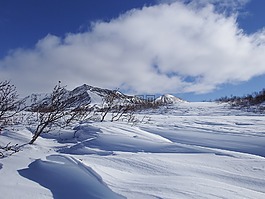 冬季,雪,冷
