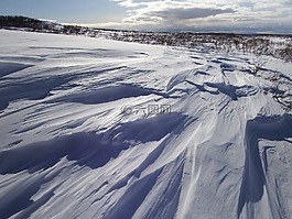 冬季,雪,冷