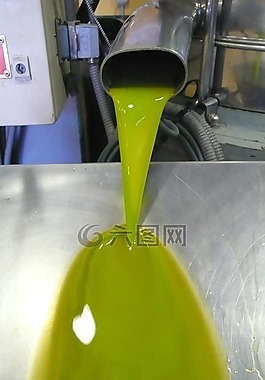 石油,第一壓力,橄