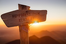 木材,跡象,高峰