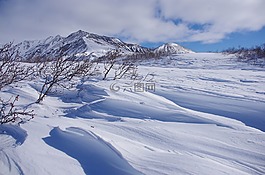 冬季,雪,冷