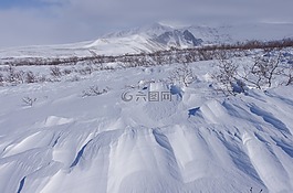 冬季,雪,冷