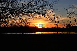 日落,景觀,太陽