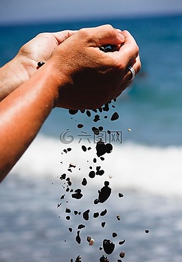 砂,海,水