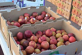 水果,健康,食品