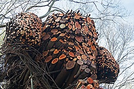 雕塑,藝術(shù),分支機(jī)構(gòu)