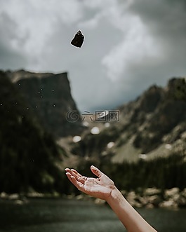 手,棕櫚,石