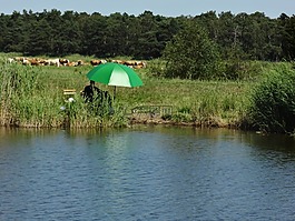 屏幕,绿色,bodden
