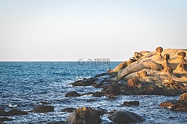 海岸,巖,水