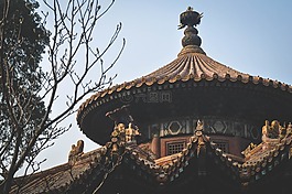 建設(shè),寺,結(jié)構(gòu)