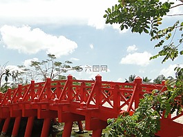 越南,橋,木