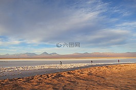 鹽湖,阿塔卡馬沙漠,沙漠