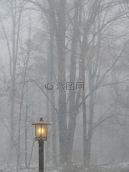 發(fā)布,光,燈
