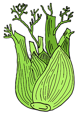 茴香,植物,片
