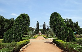 植物園,樹,公園