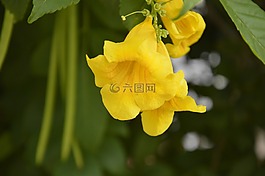 計劃,背景,綠色