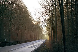 路,離,景觀