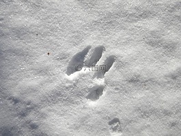 雪,冬天,軌道