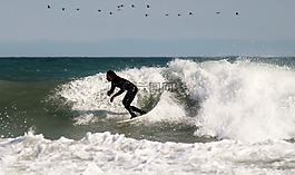 沖浪者,沖浪板,沖浪