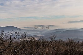 山,谷,森林