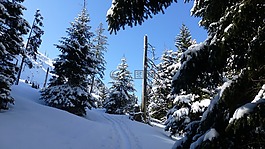 阿爾高,冬天,雪