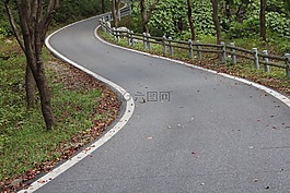 吉,大自然,在森林里