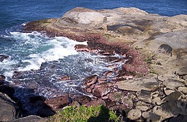 mar,石,巖