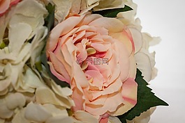 花,顯示,婚禮