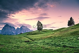 綠色,草,山