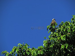 綠色,景觀(guān),性質(zhì)