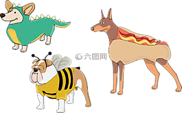 狗,小狗,服裝