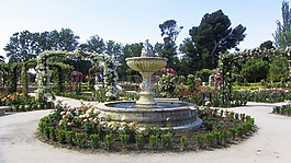公園,鮮花,性質(zhì)