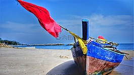 釣魚,船,木