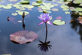 韓國,京畿,坡州