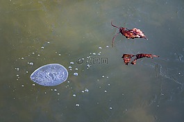 冰,水,冬天