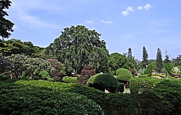 植物園,拉巴克,公園