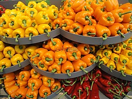蔬菜,辣椒,橙色
