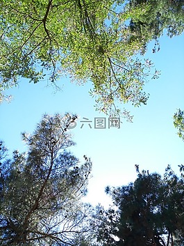 天空,綠黨,kicak村