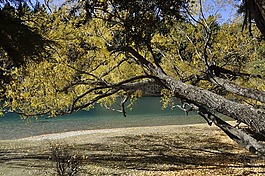 自然,風(fēng)景背景,自然景觀