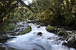 自然,風(fēng)景背景,自然景觀