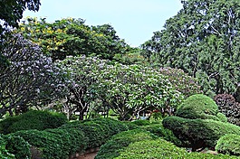 植物園,拉巴克,公園