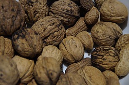 核桃,坚果,螺母组合
