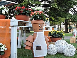 同情,花瓶,花