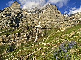 山,丘陵,草